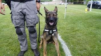 PSD Vader with his badge, August 9, 2024 (Photo by: Lindsay Newman/ Blackburn Media)