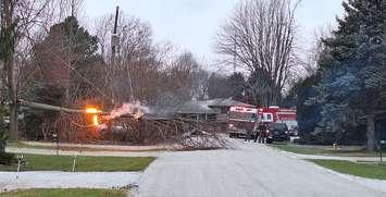 Downed power lines set a tree on fire in Dealtown (Image courtesy of Sharen Gingrich)