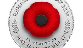 A digital poppy. File photo courtesy of Legion National Foundation. 