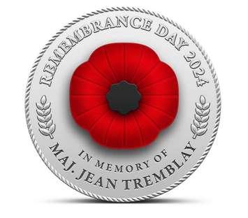 A digital poppy. File photo courtesy of Legion National Foundation. 