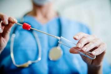 Doctor taking swab (Image by dusanpetkovic / iStock / Getty Images Plus via Getty Images)