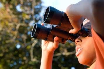 Birdwatching boy (Image courtesy of Blacqbook/iStock/Getty Images Plus via Getty Images)