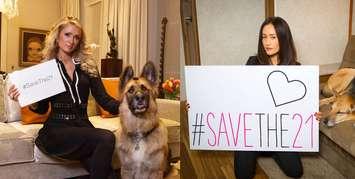 Actress Paris Hilton and actress/model Maggie Q show their support for 21 dogs seized from an alleged dog-fighting ring in Tilbury. (Photo courtesy of SaveThe21.com)