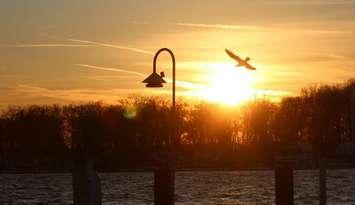 Youth photo by Lily Hamilton that won the 2020 photo contest (Supplied by: St. Clair Region Conservation Authority)