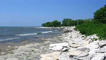 Stone Road Alvar, on Pelee Island. Photo courtesy Ontario's Southwest.