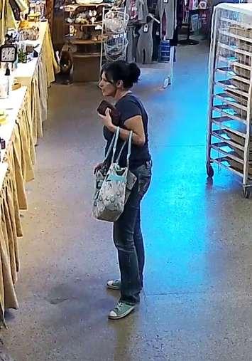 Chatham-Kent police say this woman is accused of stealing $100 worth of merchandise from Parks Blueberries. (Photo courtesy of Chatham-Kent police)