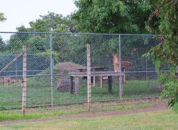 Lion enclosure at Greenview Aviaries via World Animal Protection report 