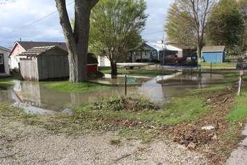 Flooded yards at Erie Shore Dr. in near Erieau, Oct. 25, 2017. (Photo by Paul Pedro)