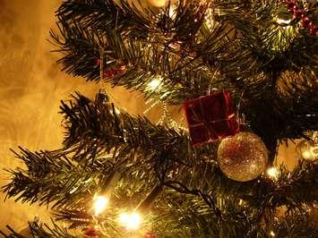 A close-up photo of a Christmas tree. (Photo courtesy thehomesitter.com)
