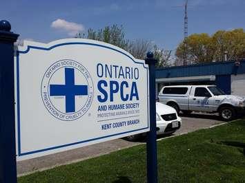 OSPCA shelter located on Park Ave. in Chatham. (Photo courtesy of Robyn Brady)