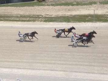 LOVIN FEELIN held off a late charge by TIZ to win the 2017 installment of The Little Green Jug at Dresden Raceway. (Photo courtesy of Gary Patterson)