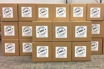 "Camp in a Box" ready to go out to families in Chatham-Kent. (Photo courtesy of the CK Rec Facebook Page)