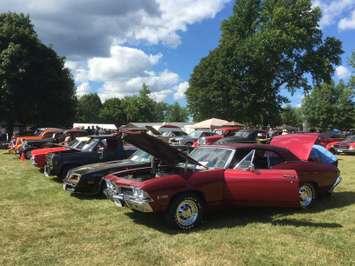 Thousands descend on Bothwell's Victoria Park for the annual Bothwell car show, August 6, 2016. (Photo by the Blackburn Radio Summer Patrol)