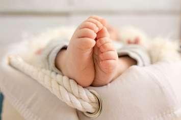 Newborn baby (Photo courtesy of Metha Eikens via Flickr)