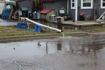 Flooding in Erieau. April 16, 2018. (Photo by Sarah Cowan Blackburn News Chatham-Kent). 