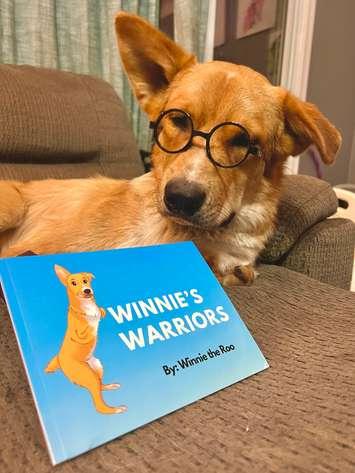 Winnie the dog. (Photo courtesy of  Charlotte’s Freedom Farm)
