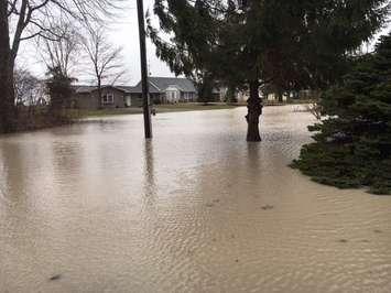 Flooding on Coho St. near Rondeau Provincial Park. (Photo courtesy of the Lower Thames Valley Conservation Authority)