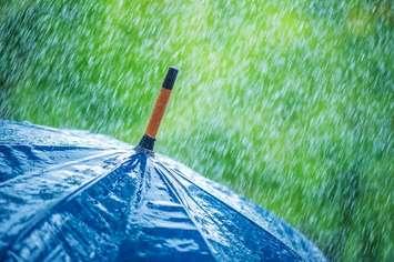 Rain falling on an umbrella. File photo courtesy of © Can Stock Photo / Smit
