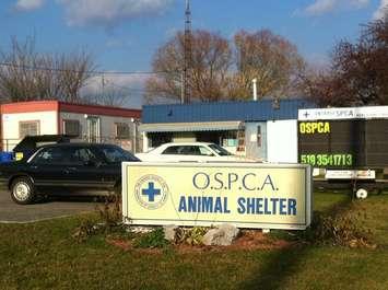 OSPCA shelter located on Park Ave. in Chatham. (BlackburnNews.com File Photo)