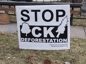 Stop CK deforestation. (Photo by Paul Pedro)