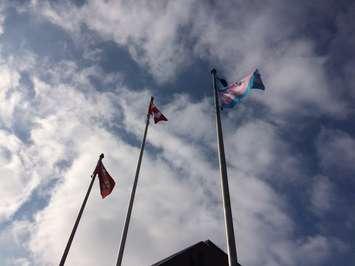 Transgender flag flying at the CK Civic Centre. Nov 14, 2017. (Photo by Paul Pedro)
