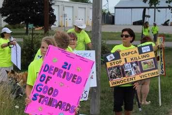Protesters upset with the OPSCA's application to euthanize 21 dog seized from an alleged dog fighting ring are seen outside the Provincial Offences Court in Chatham on July 21, 2016. (Photo by Ricardo Veneza)