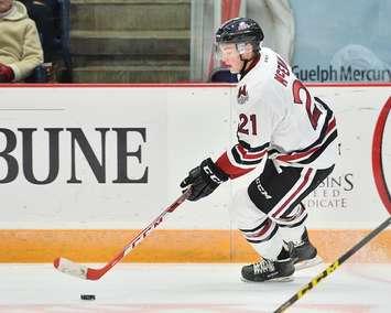 James McEwan of the Guelph Storm. (Photo by Terry Wilson / OHL Images.)