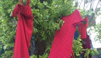 Red dresses hang outside the Caldwell First Nation office in Leamington on May 20, 2015. (Photo by Ricardo Veneza)