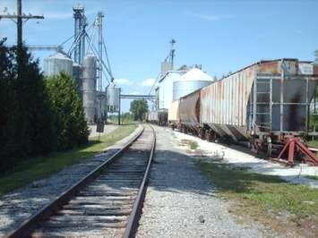 Grain hopper cars on a siding beside former CSX line in Tupperville (Photo by Simon Crouch) 