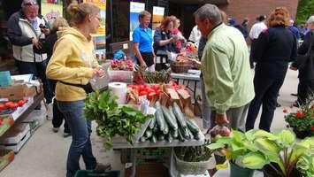 CK residents check out a farmer's market as part of Local Food Week (Photo by Jake Kislinsky)