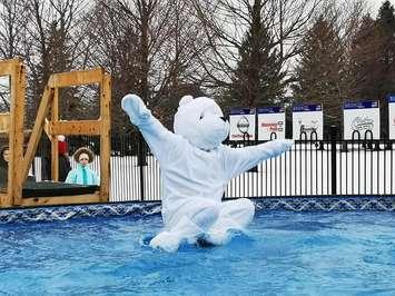 A bear mascot jumps in the water at the 2020 Polar Plunge in Chatham. (Photo courtesy of Torch Run for Special Olympics Ontario - Chatham-Kent via @Facebook)