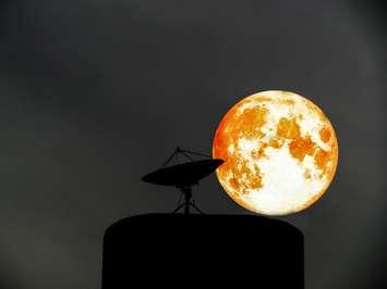 File photo of a super full blood moon courtesy of © Can Stock Photo / darkfoxelixir