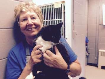 OSPCA volunteer Valarie Knight with Felix one of many cats that is in need of a home. August 31, 2015. (Photo by Simon Crouch)