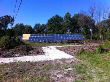 Solar panels along Longfellow Ave. in Windsor. (photo taken, September 4, 2013)