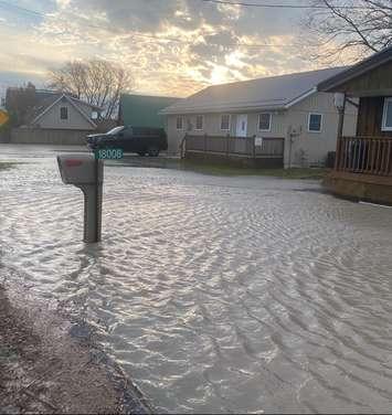 Standing water surrounding some properties along Erie Shore Drive on Wednesday, 5, 2022. (Photo courtesy of Valerie Towsley)